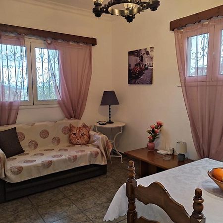 Corfu Countryside Apartment Potamós Zewnętrze zdjęcie