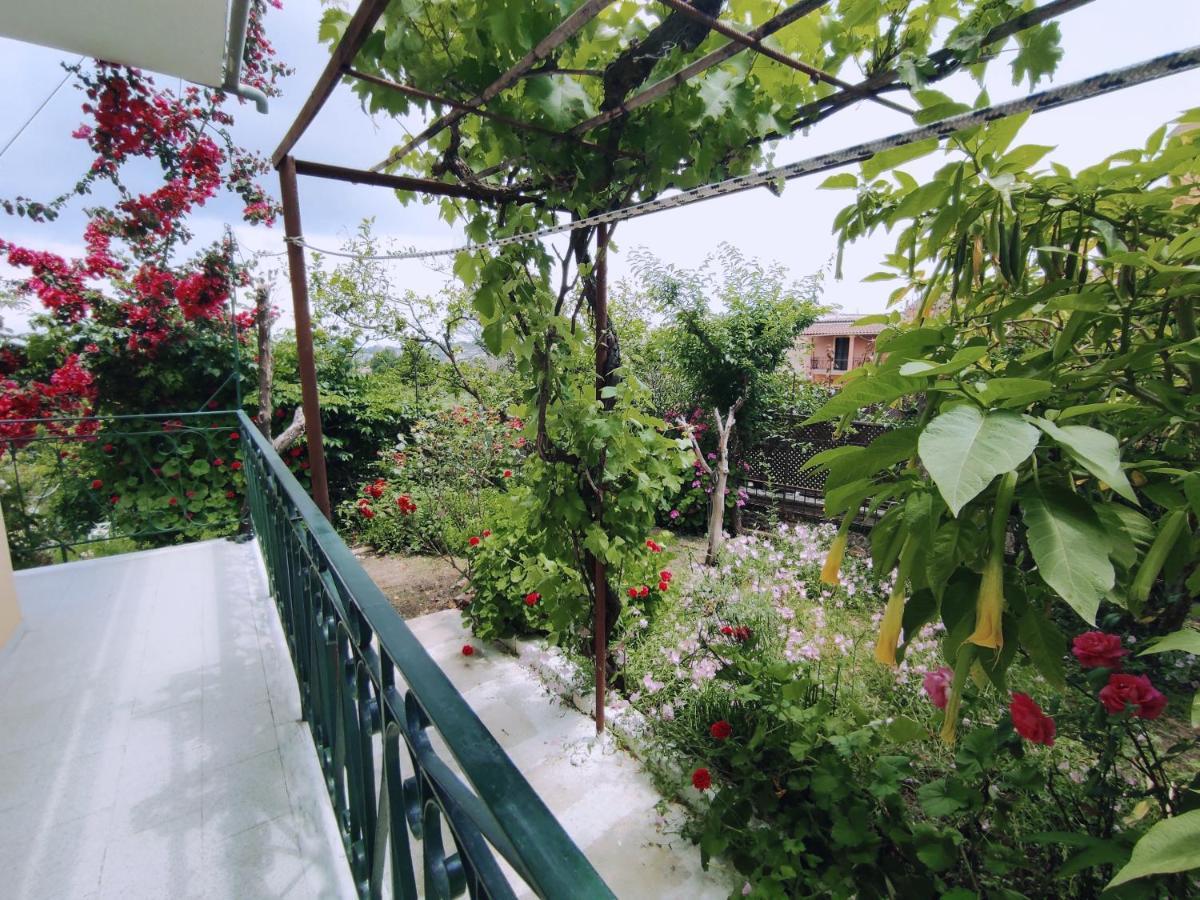 Corfu Countryside Apartment Potamós Zewnętrze zdjęcie
